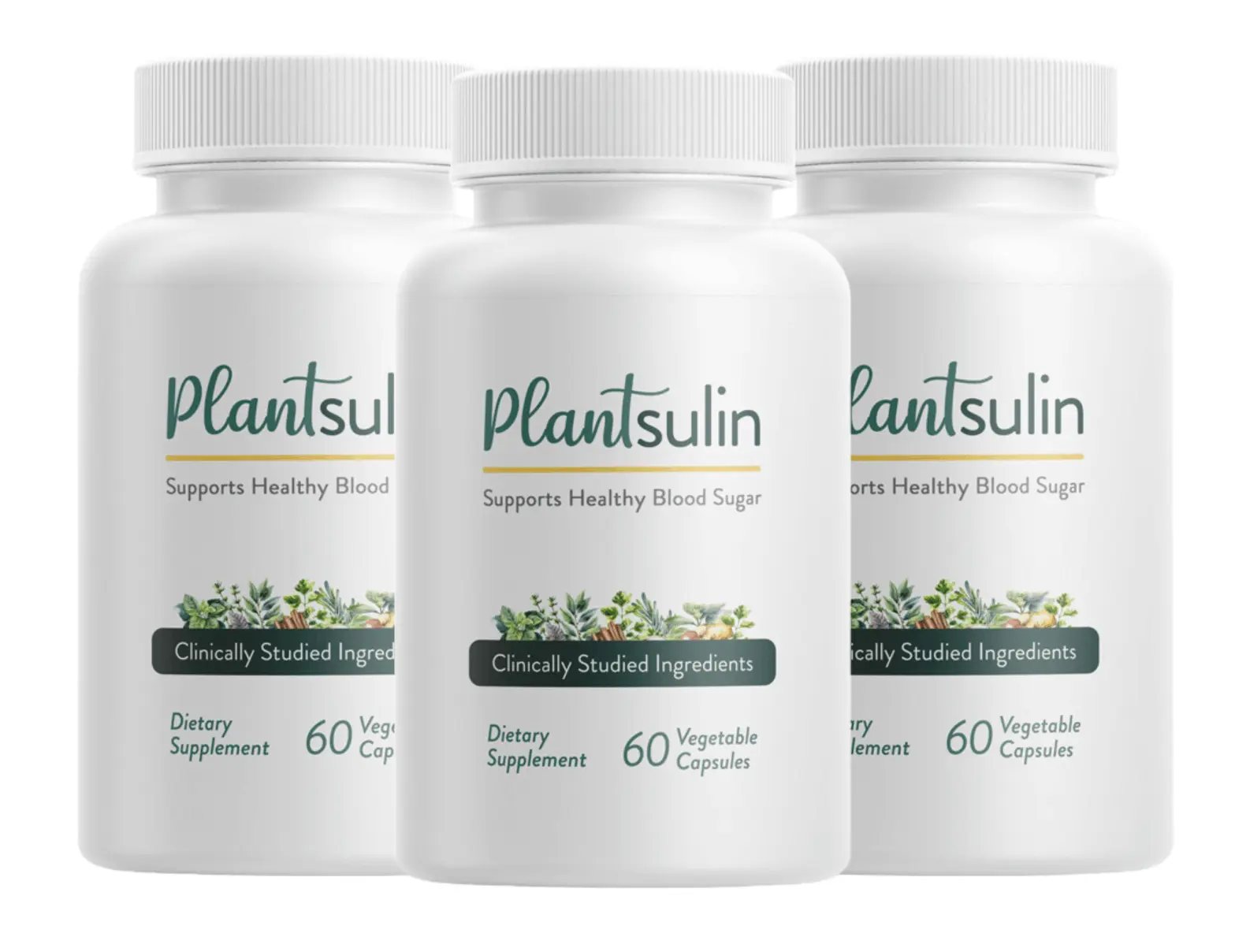 Plantsulin Blood Sugar Supplement